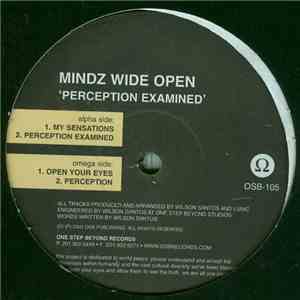 Mindz Wide Open - Perception Examined EP FLAC