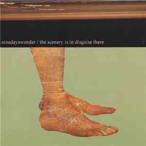 Nine Days Wonder - The Scenery Is In Disguise There FLAC