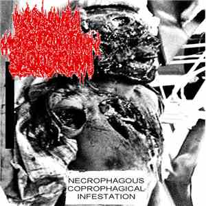 Orgmasmic Menstruation Bloodcum - Necrophagous Coprophagical Infestation FLAC