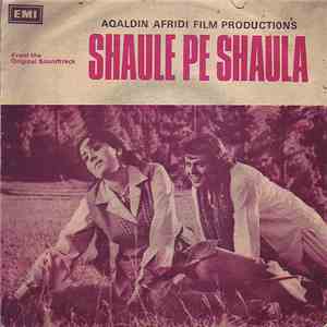 S. T. Sanni - Shaule Pe Shaula FLAC