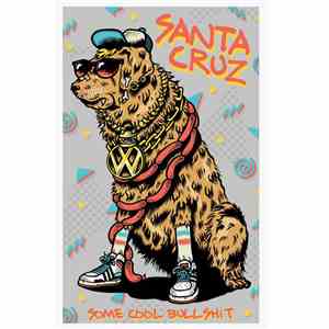 Santa Cruz - Some Cool Bullshit FLAC