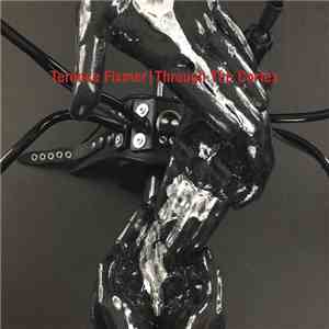 Terence Fixmer - Through The Cortex FLAC