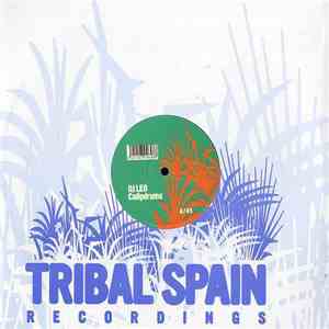 DJ Leo - Calipdrums FLAC