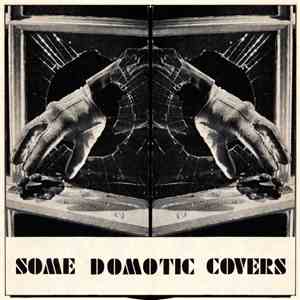 Domotic - Some Covers FLAC