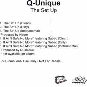 Q-Unique - The Set Up FLAC