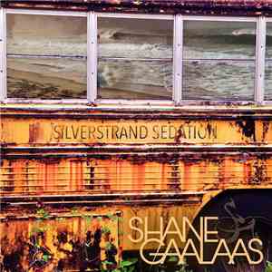 Shane Gaalaas - Silverstrand Sedation FLAC