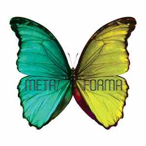 Shannon Curtis - Metaforma FLAC