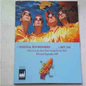 The Bikini Beach Band - Tequila Mockingbird FLAC