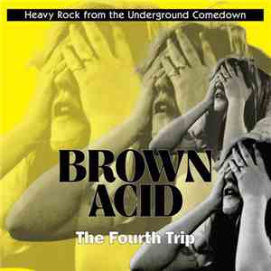 Various - Brown Acid: The Fourth Trip FLAC