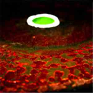 Amon Tobin - At Work FLAC