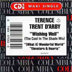 Terence Trent D'Arby - Wishing Well FLAC