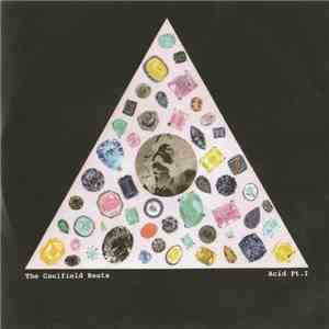 The Caulfield Beats - Acid Pt.1 FLAC