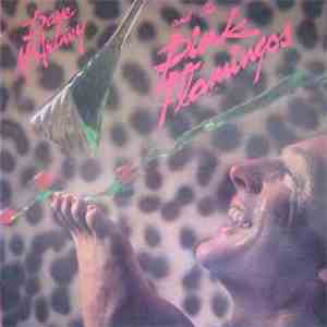 Dave McArtney & The Pink Flamingos - Dave McArtney & The Pink Flamingos FLAC