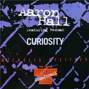 Aaron Hall Featuring Redman - Curiosity FLAC