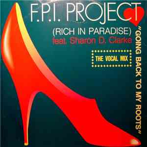 F.P.I. Project - Rich In Paradise FLAC