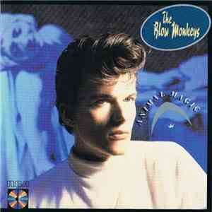The Blow Monkeys - Animal Magic FLAC
