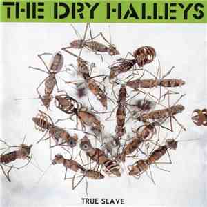 The Dry Halleys - True Slave FLAC