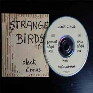 Black Crows - Strange Birds FLAC