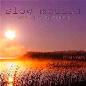 DJ Gabriel  - Slow Motion FLAC
