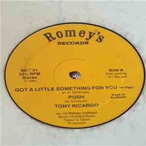 Tony Ricardo - Got A Little Something For You / Push FLAC