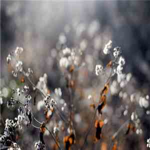 Infinity Crush / Abi Reimold - Wish It Stopped FLAC