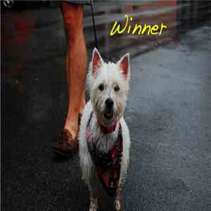 Alex G  - Winner FLAC