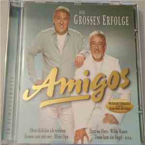 Amigos - Die Grossen Erfolge FLAC