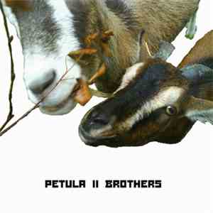 Petula - Brothers EP FLAC