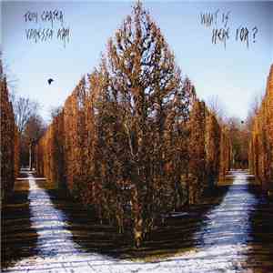Tom Carter & Vanessa Arn - What Is Here For? FLAC