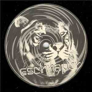 V-Ger & Soma  - Acid Rain Over Bombay FLAC