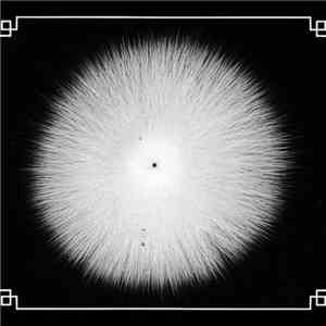 Castevet - Obsian FLAC