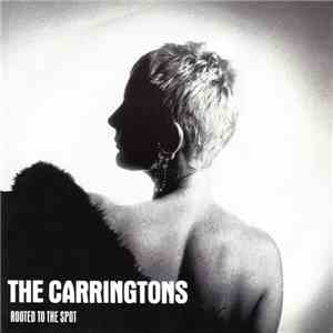 The Carringtons - Rooted To The Spot FLAC