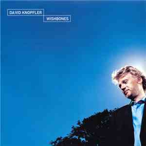 David Knopfler - Wishbones FLAC