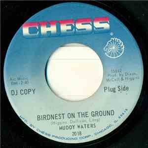 Muddy Waters - Birdnest On The Ground FLAC