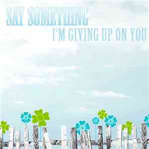 Tyler Ward - Say Something (I'm Giving Up On You) FLAC