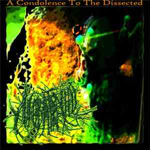 Neobatrachia - A Condolence To The Dissected FLAC