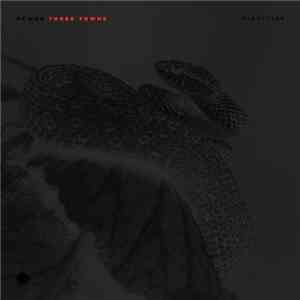 Newks - Three Towns FLAC