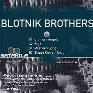 The Blotnik Brothers - Pragmatic Response FLAC