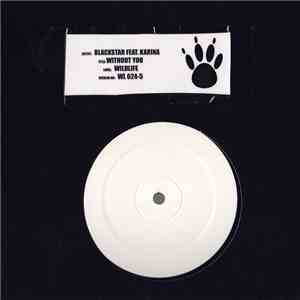 Blackstar Feat. Karina - Without You FLAC