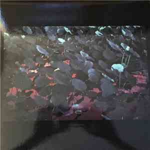 Various - Vinyl Moon Volume 026: Nightshining FLAC