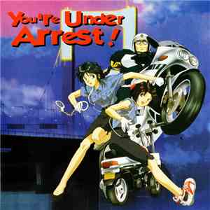 Various - You're Under Arrest! FLAC