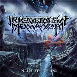 Irreversible Mechanism - Infinite Fields FLAC