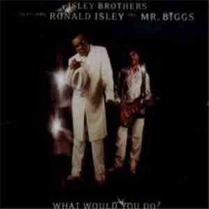 The Isley Brothers Featuring Ronald Isley A.K.A. Mr. Biggs - What Would You Do? FLAC