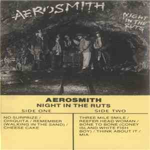Aerosmith - Night In The Ruts FLAC