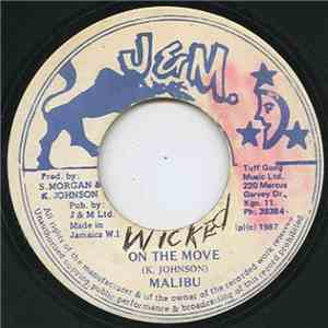 Malibu  - On The Move FLAC