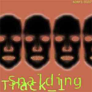 Spalding - Track_1 FLAC