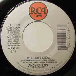 Andy Childs  - I Wouldn't Know FLAC