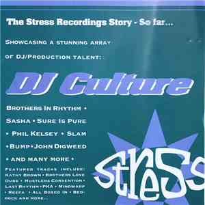 Various - DJ Culture FLAC