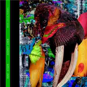 Audrey Chen - Runt Vigor FLAC