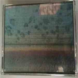 CHASTE - Tenement Housing Feels So Right FLAC